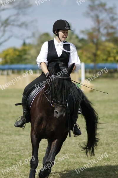 Ride Equestrian Dressage Woman Horse