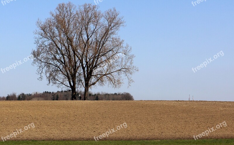 Arable Field Tree Nature Sky