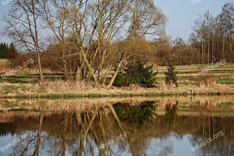 Pond Surface Reflection Trees Edge Of The Pond