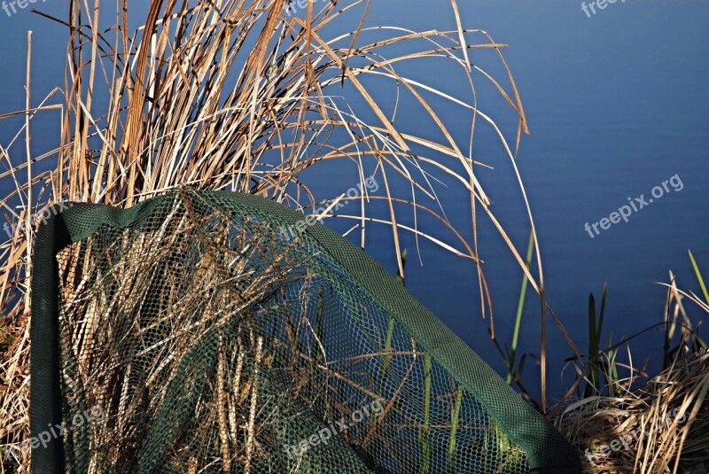 Fishing Keser Dry Reed Water Blue Pond