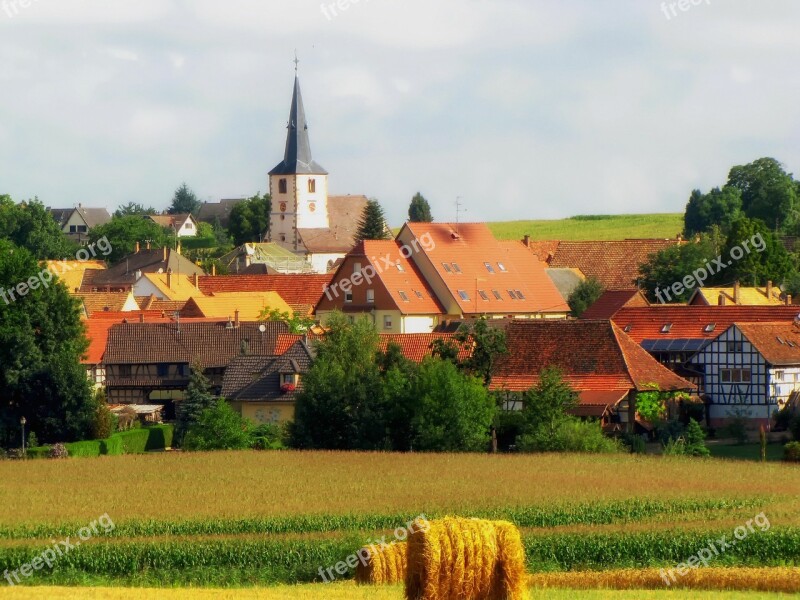 Berstett France Field Hay Straw