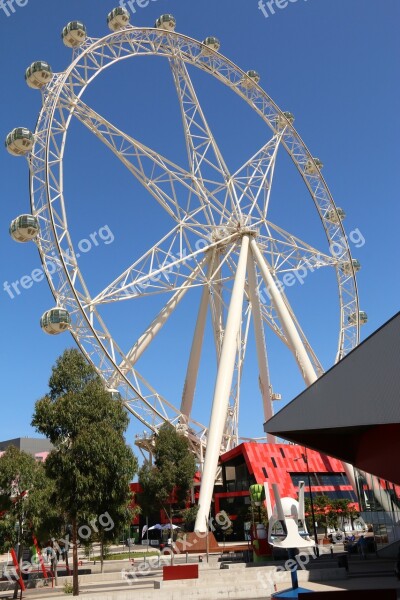 Melbourne Star Ferry Wheel Ferries Wheel Tourist Attraction Australia