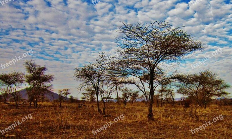 Tanzania Serengeti National Park Nature Serengeti Africa Landscape