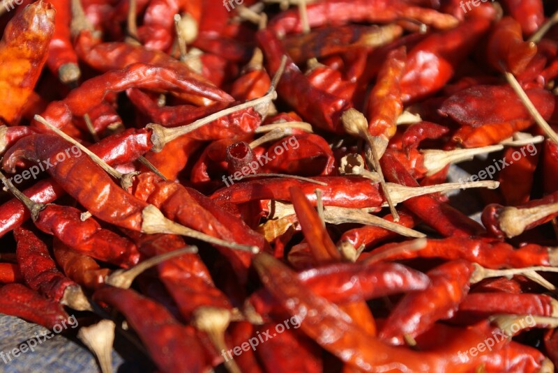 Chili Chilli Pepper Red Sharp Free Photos