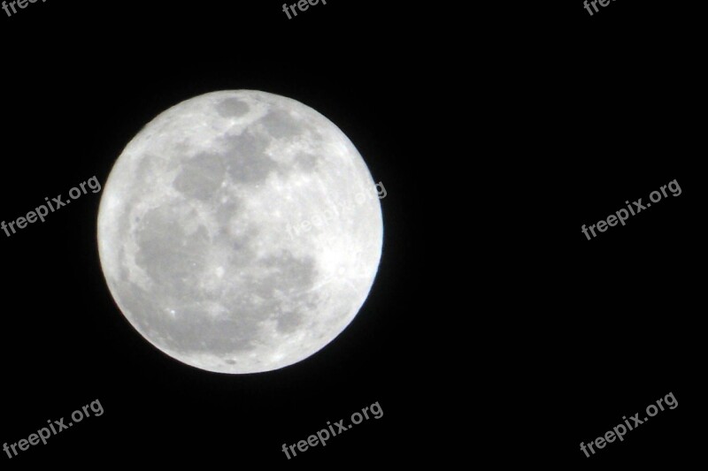 Full Moon Moon Night The Full Moon Free Photos