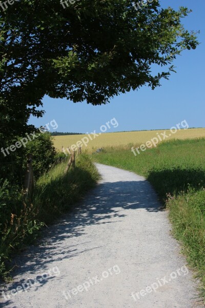 Away Meadow Grasses Blades Of Grass Meadow Grass