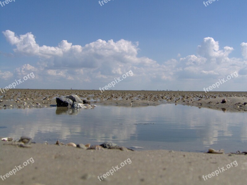 Ebb Wadden Sea Watt Bottom Sea National Park