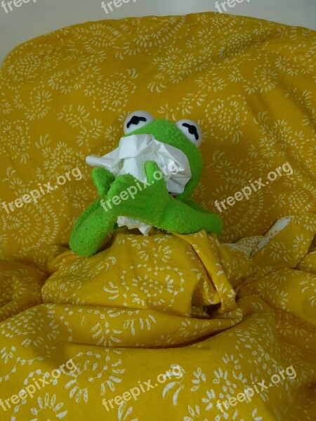 Ill Cold Sniff Handkerchief Kermit