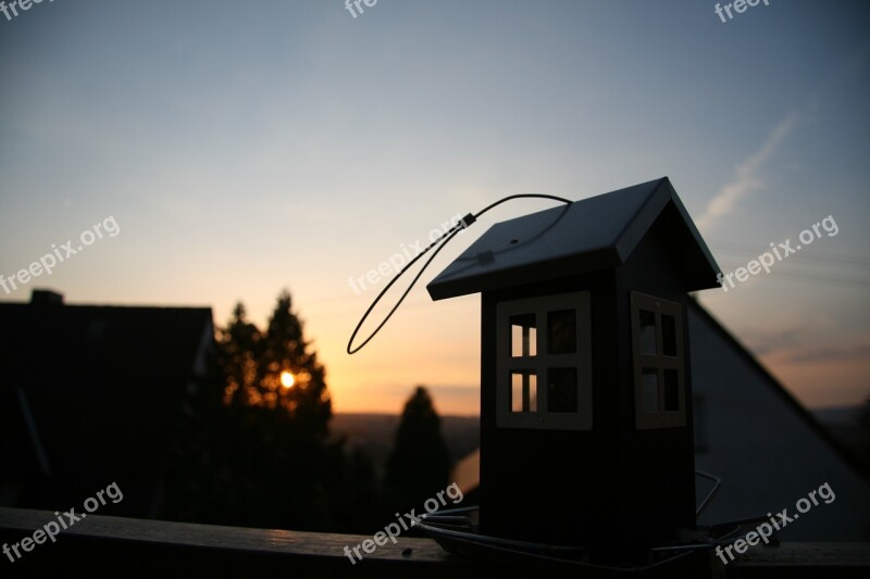 Bird Feeder Bird Sunset Evening Free Photos