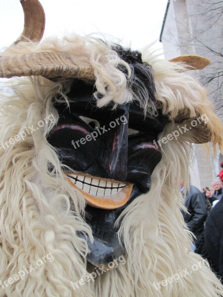 Busó Costume Carnival Free Photos