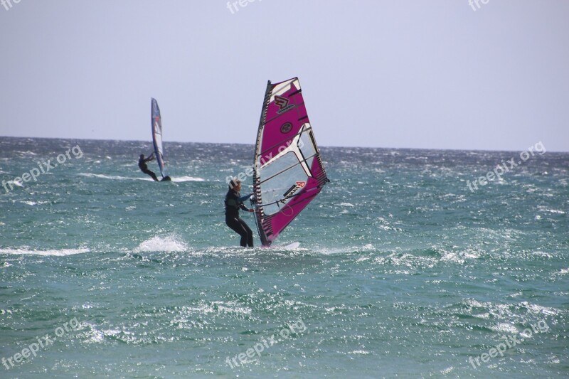 Wind Surfing Windsurfer Windsport Surfing Water Sports