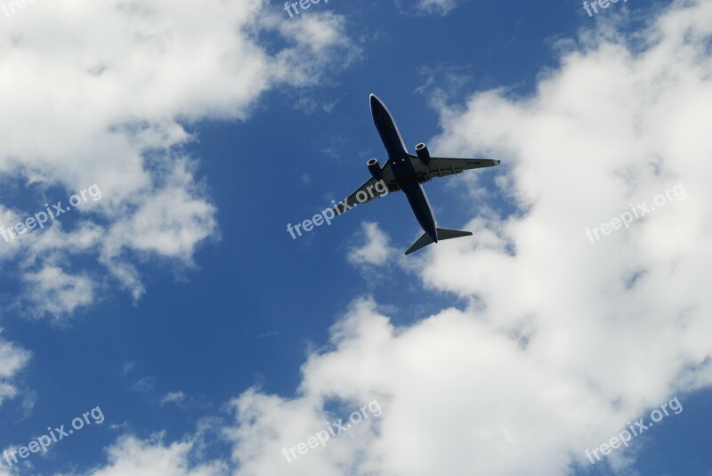 The Plane Clouds Sky Cloud Flight