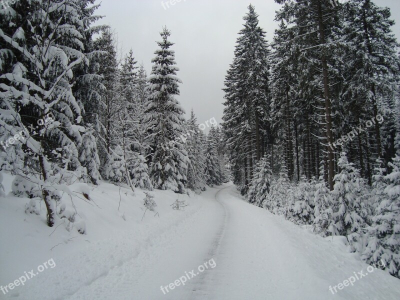 Winterberg Germany Snow Cross-country Skiing Winter