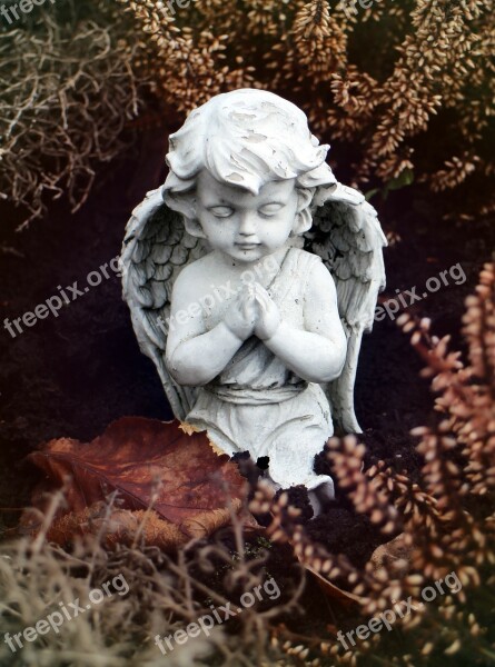 Angel Pray Kneeling Prayer Christian