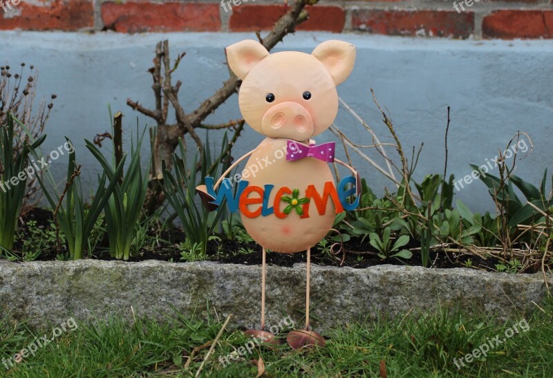 Figure Animal Pig Pig Figurine Free Photos