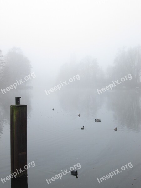 Fog Weather Ground Fog Lake Free Photos