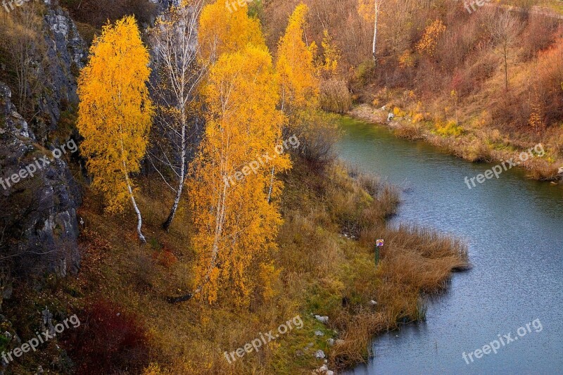 River Water Nature Landscape Tree