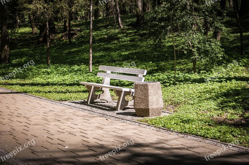 Bench Park Spacer Rest Free Photos