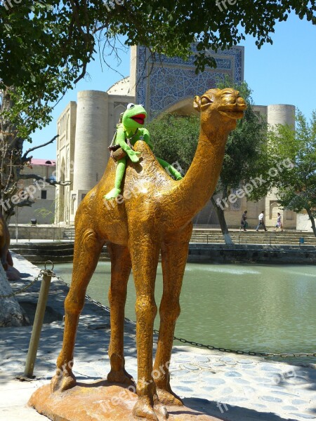 Camel Figure Pond Water Storage Labi Hauz