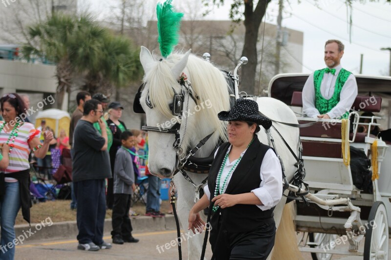 Parade Horse Carriage Ride Irish Parade