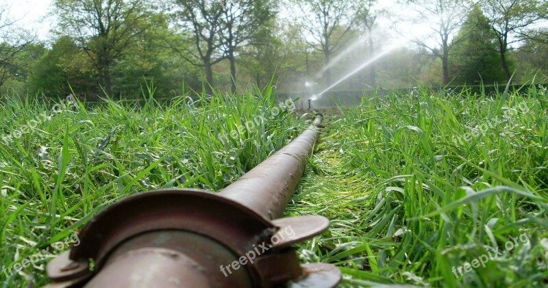 Spraying Irrigation Agriculture Free Photos