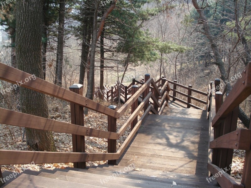 Park Stairs Wood Walk Free Photos