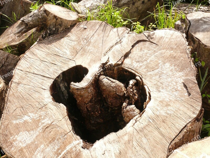 Wooden Heart Log Nature Symbol Love