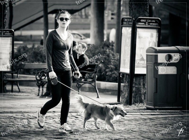 Walking The Dog Girl Woman Street Life Downtown