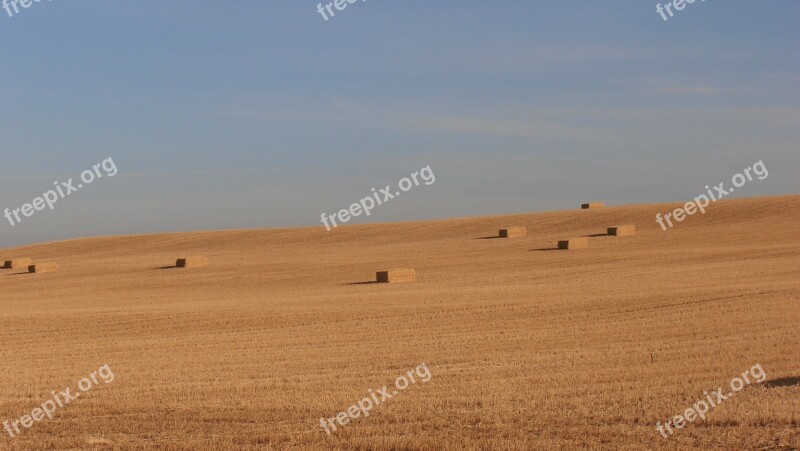 Spain Meseta Hay Field Camino