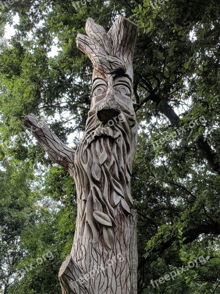 Green Man Tree Face Man Nature