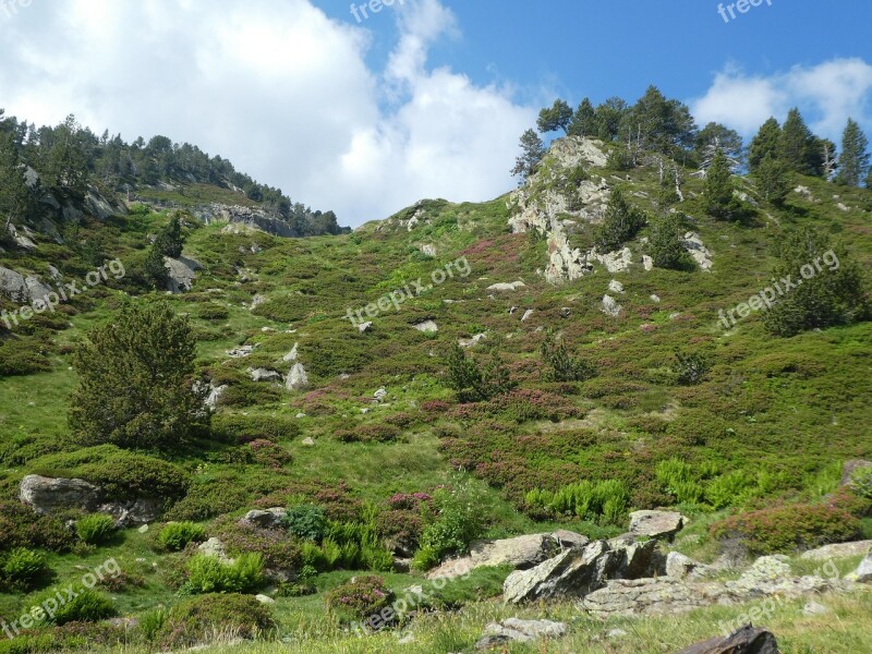 Mountain Sky Cloud Trees Andorra