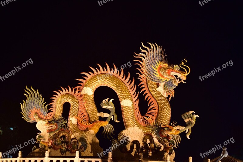 Dragon Gold Night Free Photos