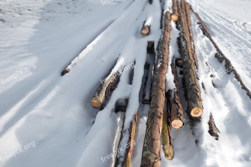 Winter Snow Impact Strains Spruce