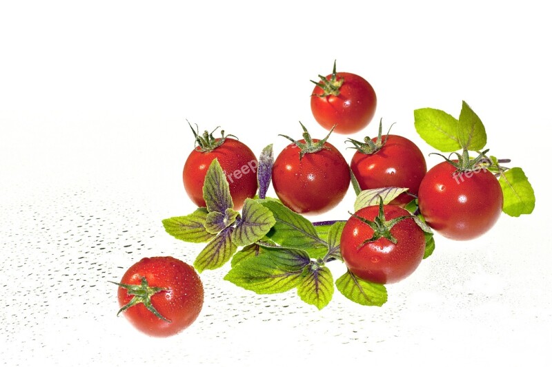 Tomatoes Basil Food Fresh Italian