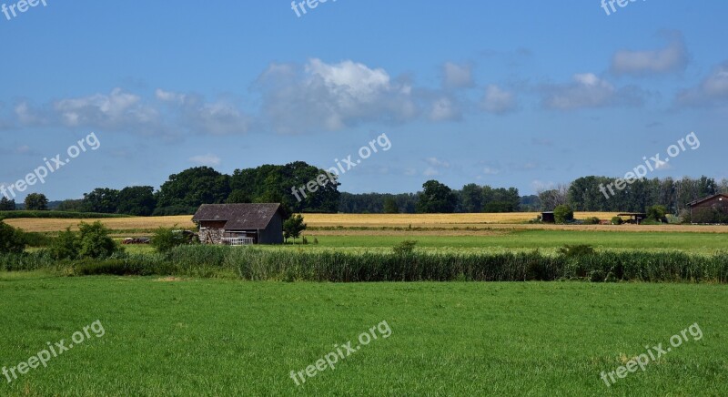 Landscape Agriculture Nature Rural Summer