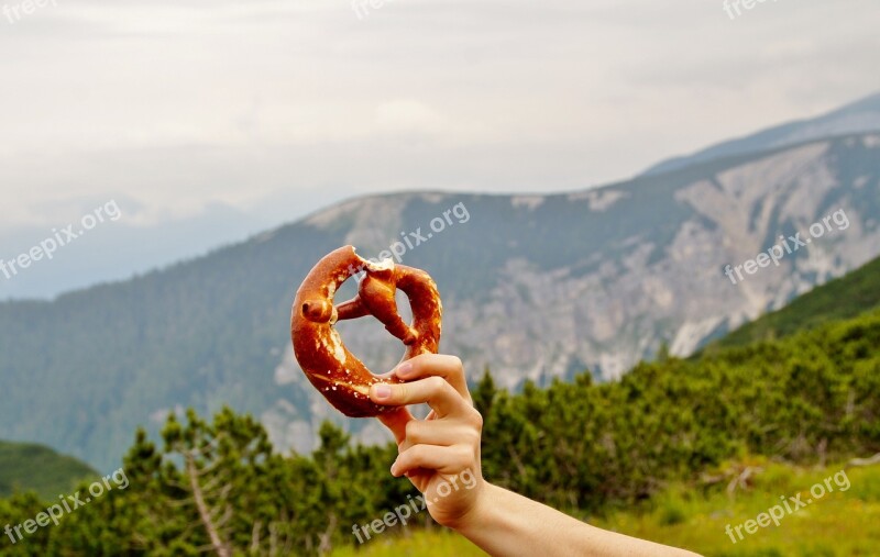 Alps Pretzel Traditional Foodstuffs Pastry