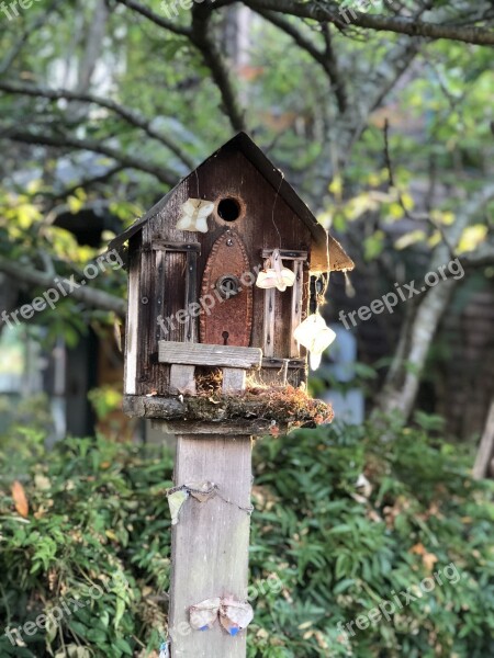 Tree Wood Birdhouse Nature Garden