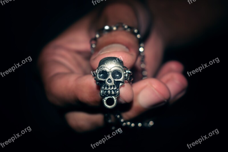 Skull Hands Skin Skeleton Bone