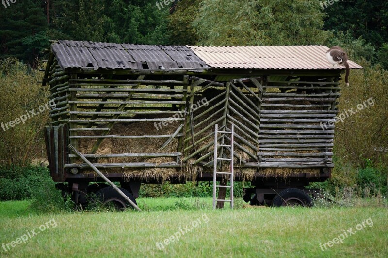 Hay Wagon Hay Dare Old Harvest