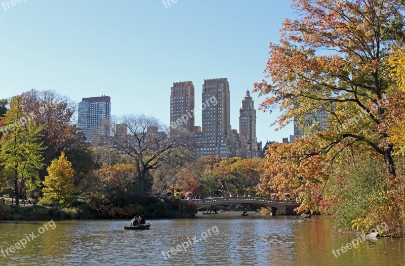 Central Park Park Garden New York Nature