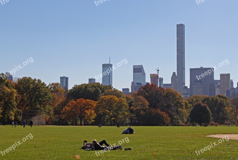 Central Park Park Garden New York Nature