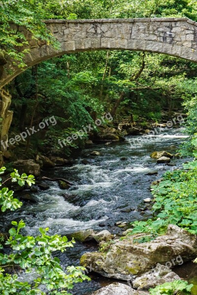 River Water Bridge Nature Inject