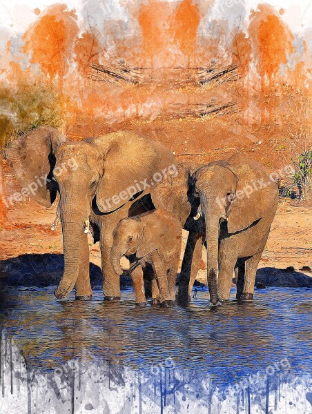 Elephants Family Animal Abstract Vintage