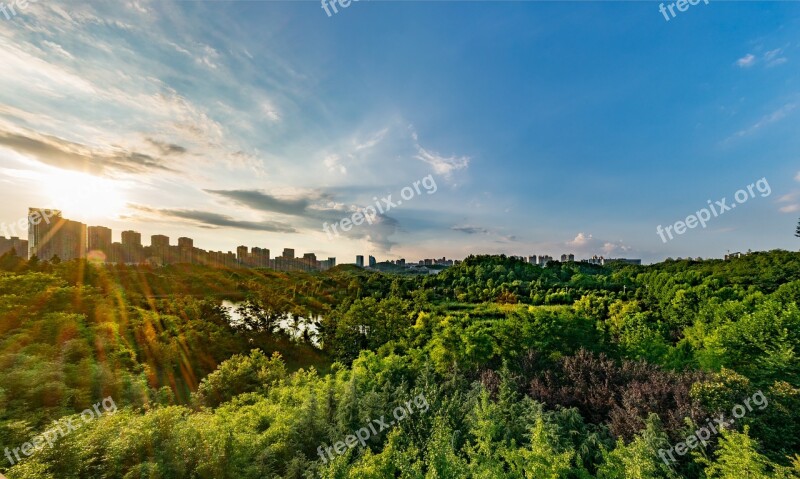 Blue Sky Park Woods Ecology Sunshine