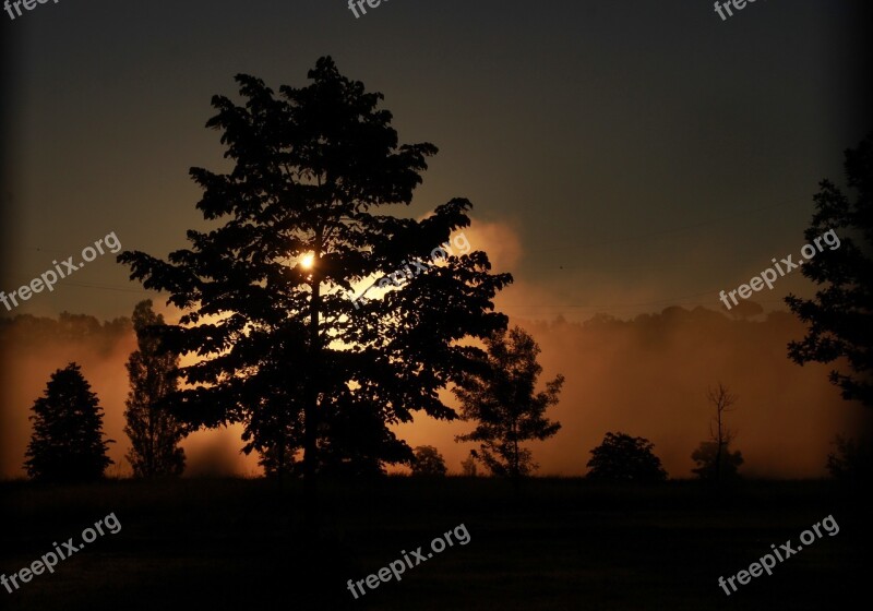 Sunrise The Haze Tree Red Landscape