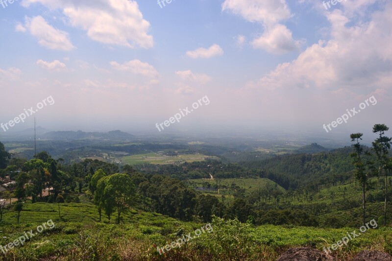 Landscape Tea Gardens Nat Nature Green