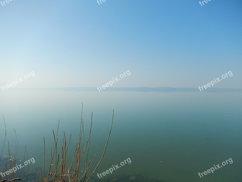 Lake Balaton Lake Nature Landscape Free Photos