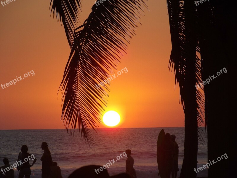 Beach Sunset Palm Tree Ocean Vacation