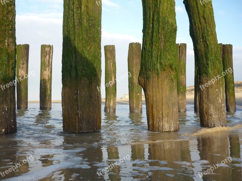 Domburg Nature Sea Water Landscape