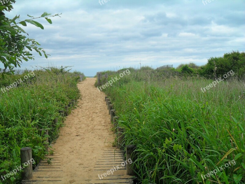 Path Nature Outdoor Grass Hike